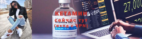 apvp Вяземский