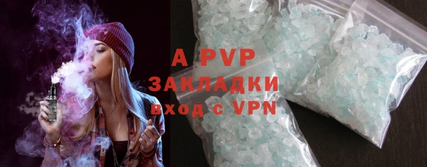 apvp Вяземский