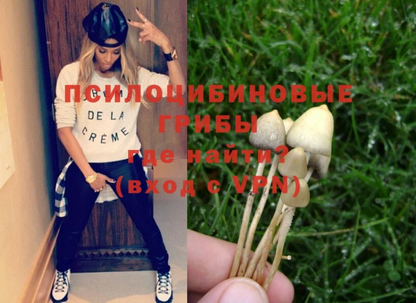 PSILOCYBIN Сосновка