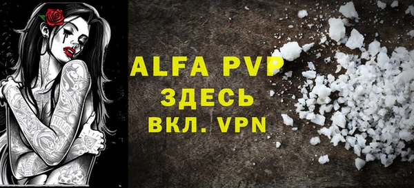 apvp Вяземский