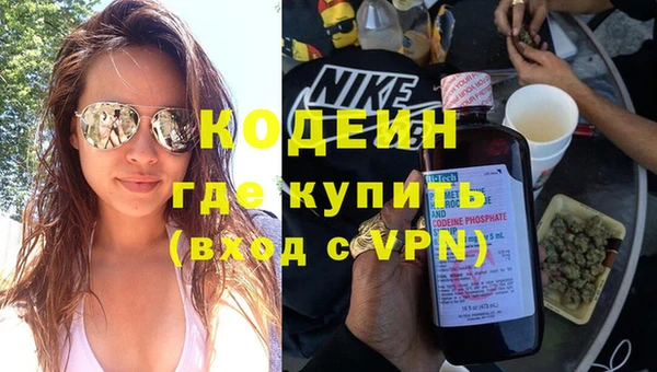 apvp Вяземский