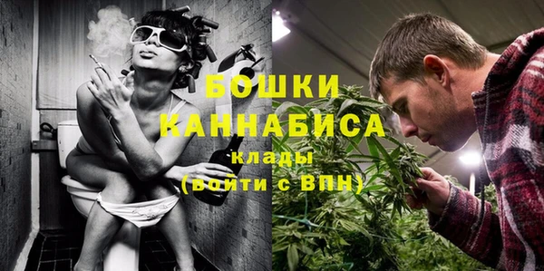 мдпв Горнозаводск