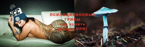 стафф Волосово