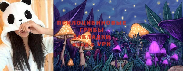 шишки Вязьма