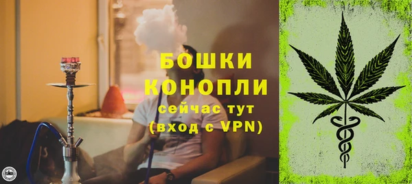 сатива Горно-Алтайск