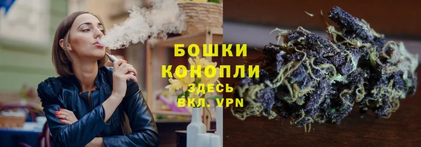 мдпв Горнозаводск