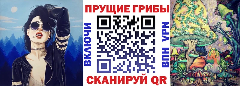 Галлюциногенные грибы MAGIC MUSHROOMS  hydra   Краснознаменск 